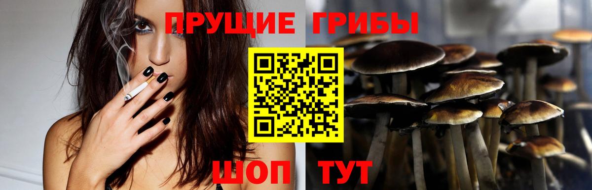 Галлюциногенные грибы мухоморы  Галлюциногенные грибы MAGIC MUSHROOMS  Вход с VPN  Когалым 